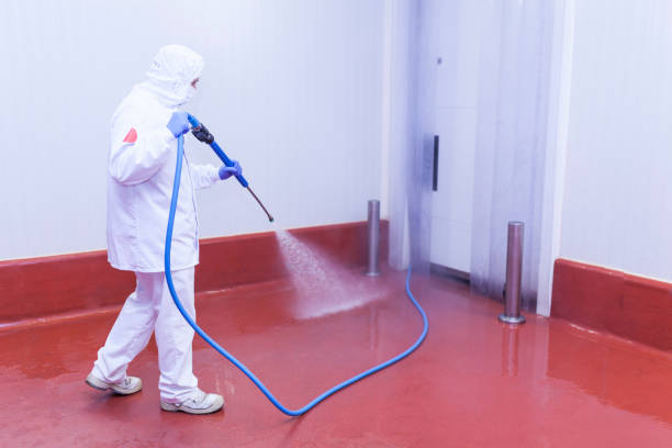 Best House Exterior Washing  in Oxford, OH